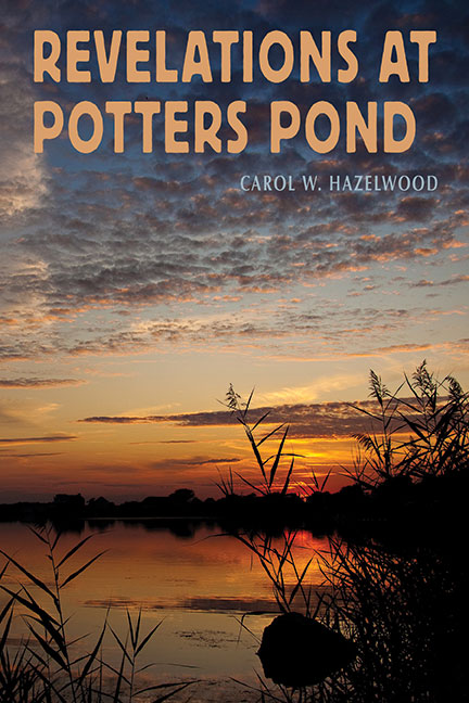 Revelations at Potters Pond